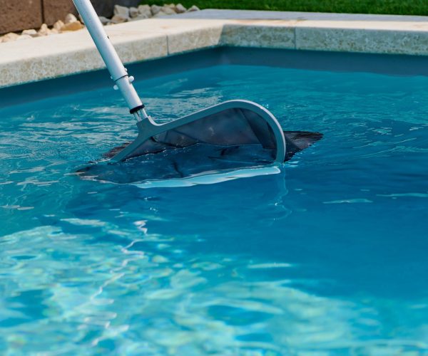 Swimming pool net